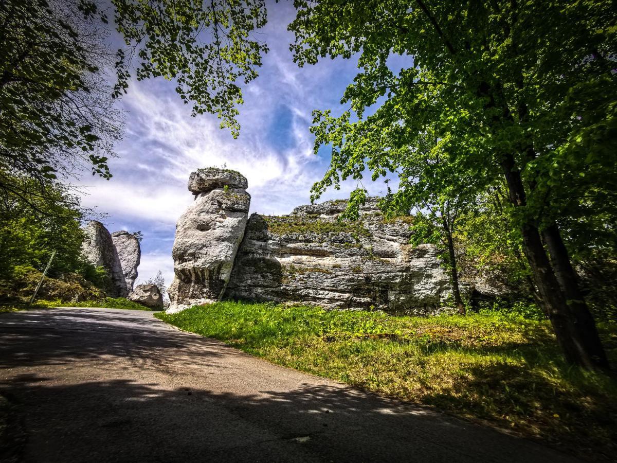 Poziom 511 Jura Wellness Hotel & Spa Огродзенець Екстер'єр фото